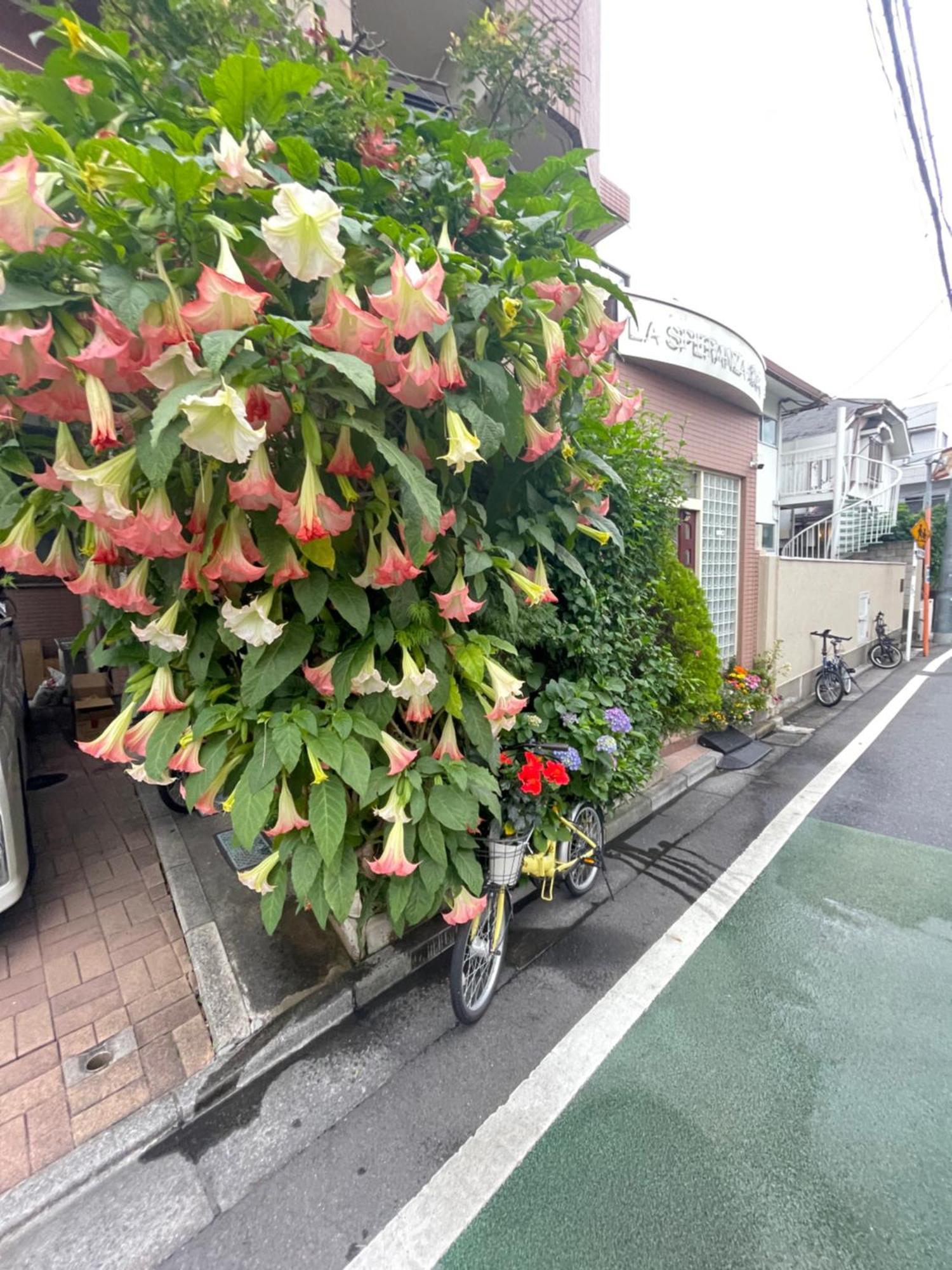 新宿庭院の屋-Shinjuku Garden Home -28 Square Meters King Size Bed Garden Room Tōkyō Extérieur photo